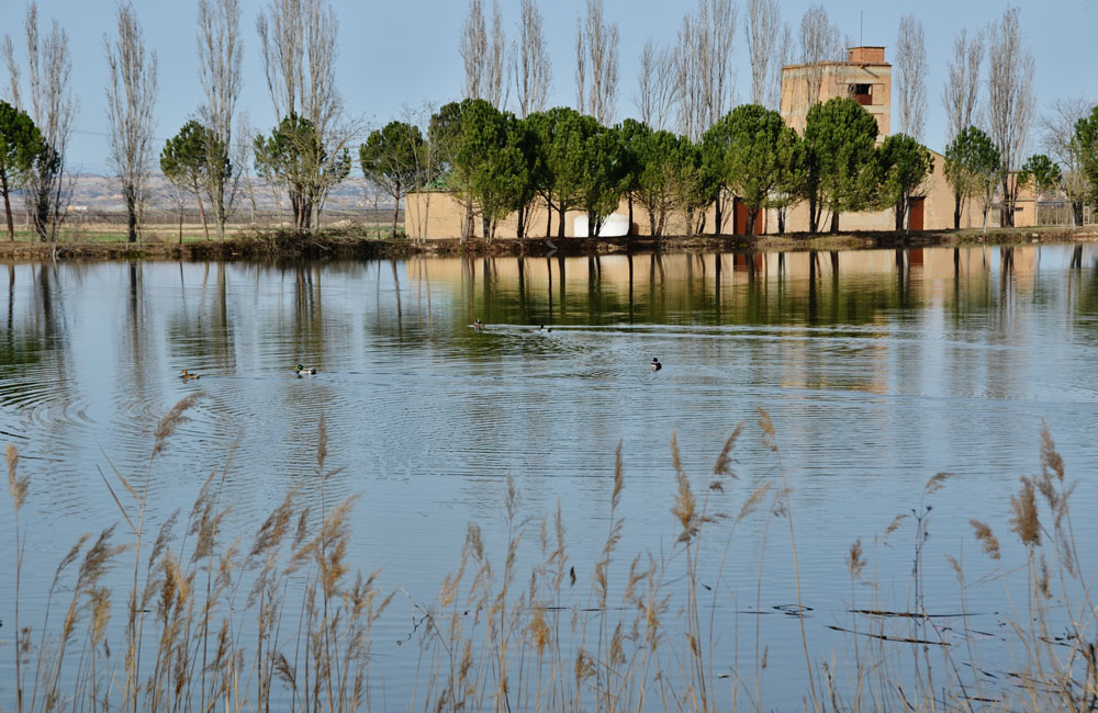 Aplec anual del Castell del Remei de Penelles, 28 d'abril ...